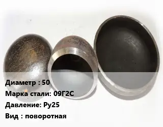 Заглушка стальная 50 Сталь: 09Г2С Ру25 поворотная